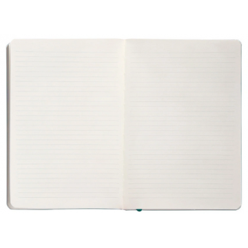 Carnet A5 ligné 80g ferm. élast. couv. souple vert paon x100f