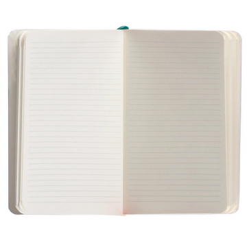 Carnet A6 ligné 80g ferm. élast. couv. souple vert paon x100f