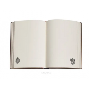 Carnet Harry Potter Midi uni Serpentard