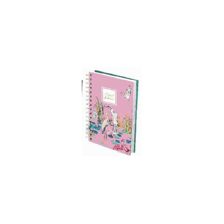 Carnet de croquis Turnowsky - Hérons