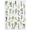 Torchon de cuisine Herbes aromatiques