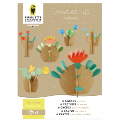 Kit créatif - Mes Cactus...