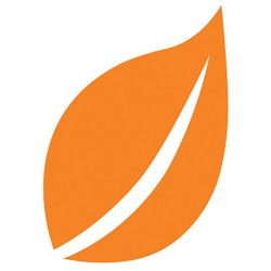 Izink Nature - Orange Safran 80ml