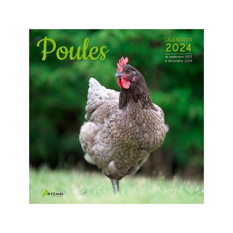 Calendrier Poules 2024