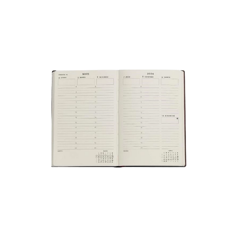  Grand calendrier humoristique 2024 avec languette 15,4 x 21,9  cm - Livres