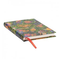 Agenda Jungle Song Midi Ver 2025