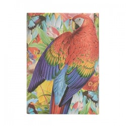 Agenda Jardin tropical Midi Ver 2025