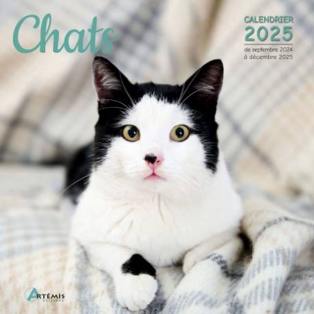 Calendrier Chats 2025