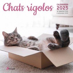 Calendrier Chats rigolos 2025