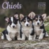 Calendrier Chiots 2025