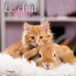 Calendrier Le Chat et ses...