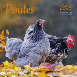 Calendrier Poules 2025