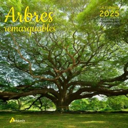 Calendrier Arbres...