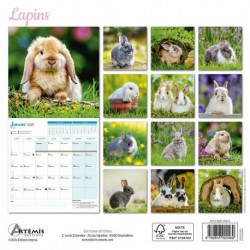 Calendrier Lapins 2025