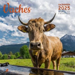 Calendrier Vaches 2025