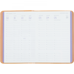 Agenda Sem 15 Orange Colornote 2025