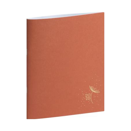 Agenda mens. EasySlim 21 carte Terracota