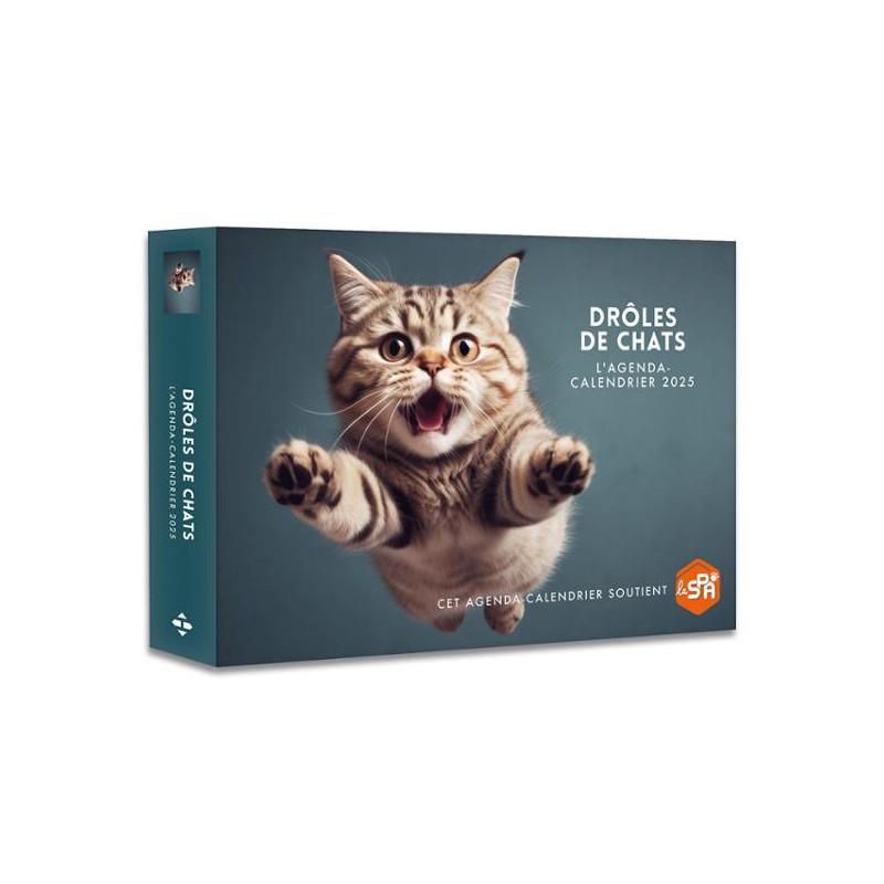 Agenda calendrier 2025 - Drôles de chats