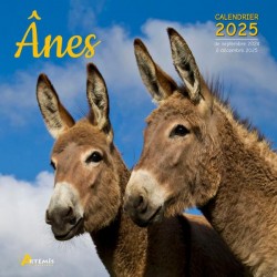 Calendrier Anes 2025