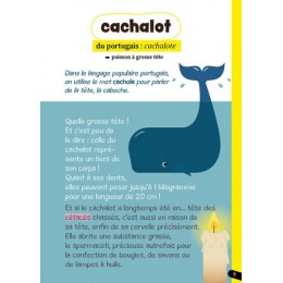 Les mots français venus...