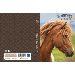 Agenda sco 2025/26 Cheval