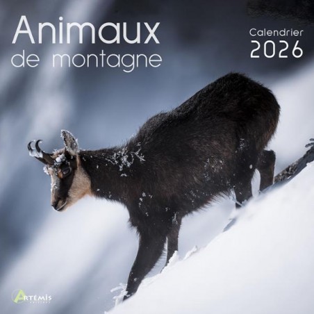 Calendrier 30x30 Animaux de montagne 2026