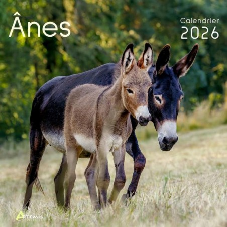 Calendrier 30x30 Anes 2026