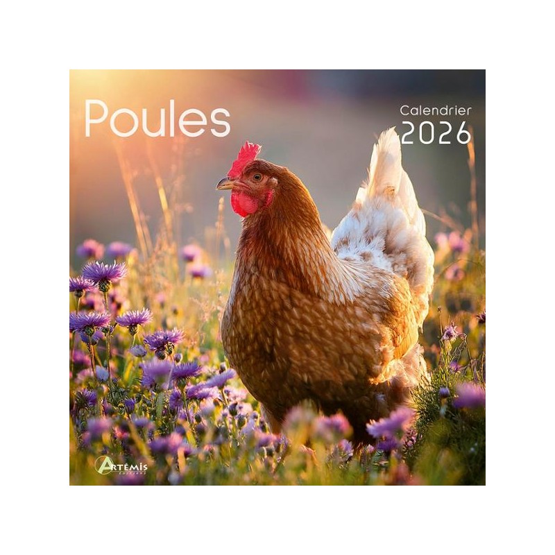Calendrier 30x30 Poules 2026