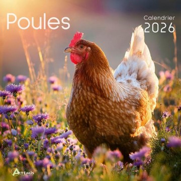 Calendrier 30x30 Poules 2026