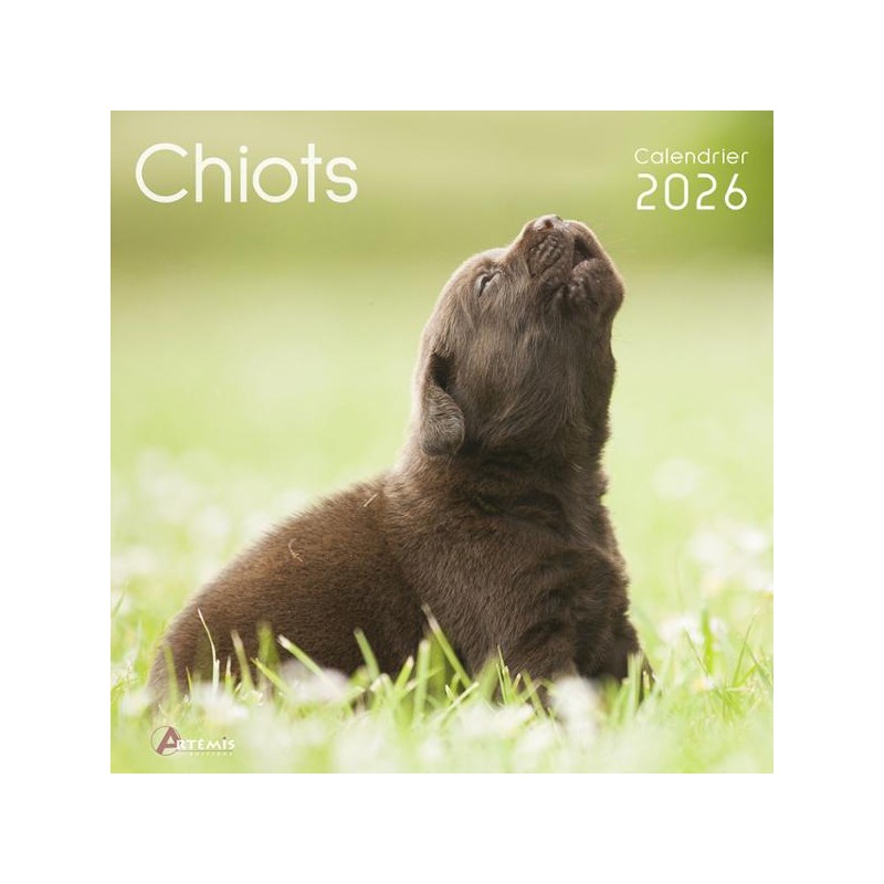 Calendrier 30x30 Chiots 2026