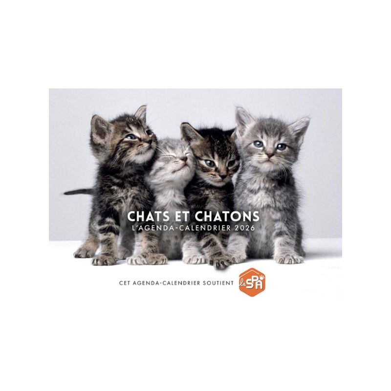 Agenda-Calendrier 2026 - Chats et Chatons