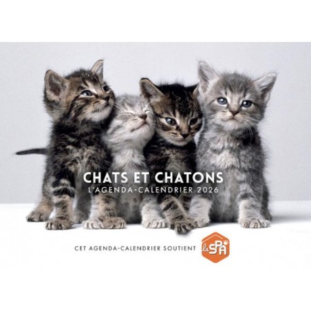 Agenda-Calendrier 2026 - Chats et Chatons