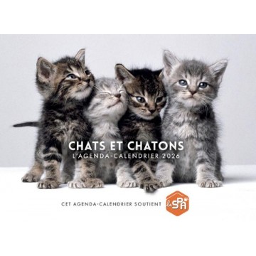 Agenda-Calendrier 2026 - Chats et Chatons