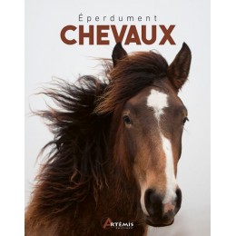 Eperdument Chevaux