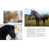 Eperdument Chevaux