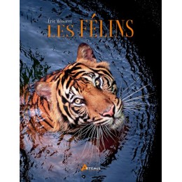 Les félins - E. Ménoret