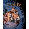 Les félins - E. Ménoret